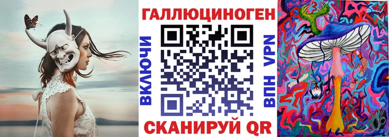 Купить закладки  Тосно  Галлюциногенные грибы Psilocybe 